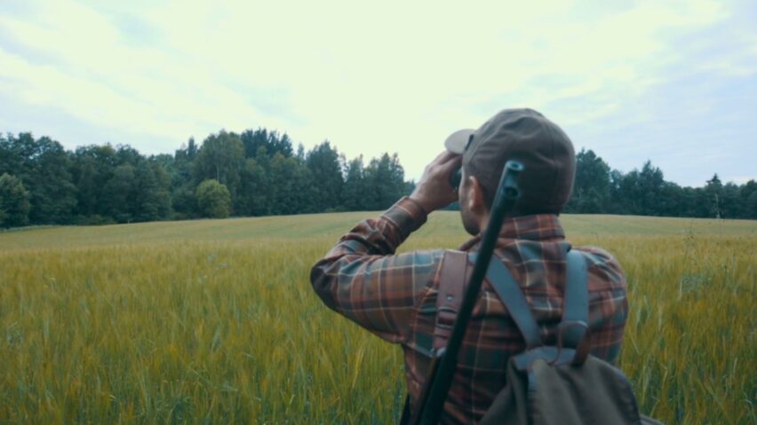 Will Deer Come Back After Being Spooked: Understanding The Behavior and Increasing Your Chances of Success
