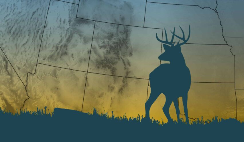 do-you-need-a-hunting-license-to-hunt-on-your-own-property-the